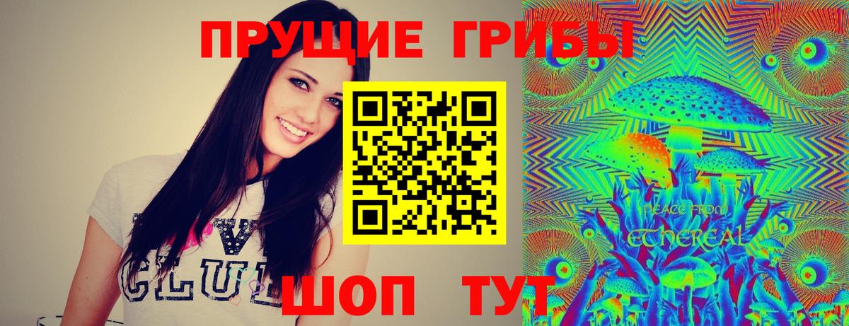 Галлюциногенные грибы прущие грибы Советская Гавань